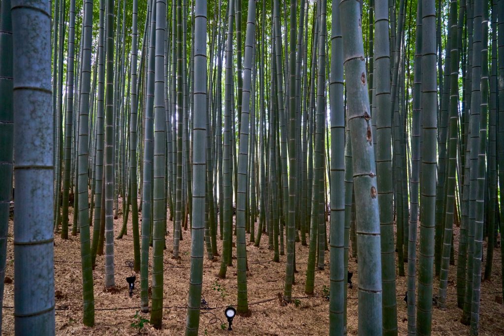 JAPAN-2016-03-088 JAPAN-2016-03-088