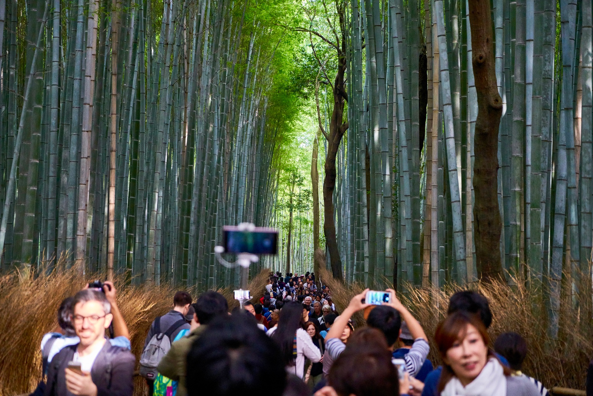 JAPAN-2016-03-089 JAPAN-2016-03-089