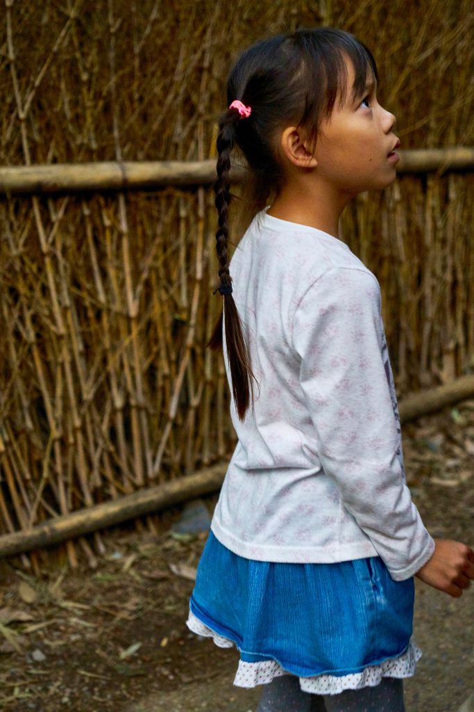 JAPAN-2016-03-090 JAPAN-2016-03-090