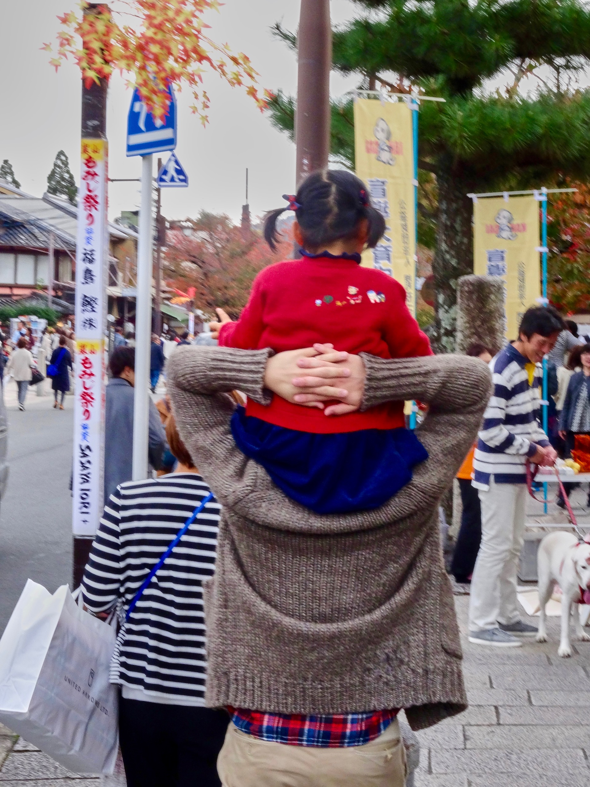 JAPAN-2016-03-094 JAPAN-2016-03-094