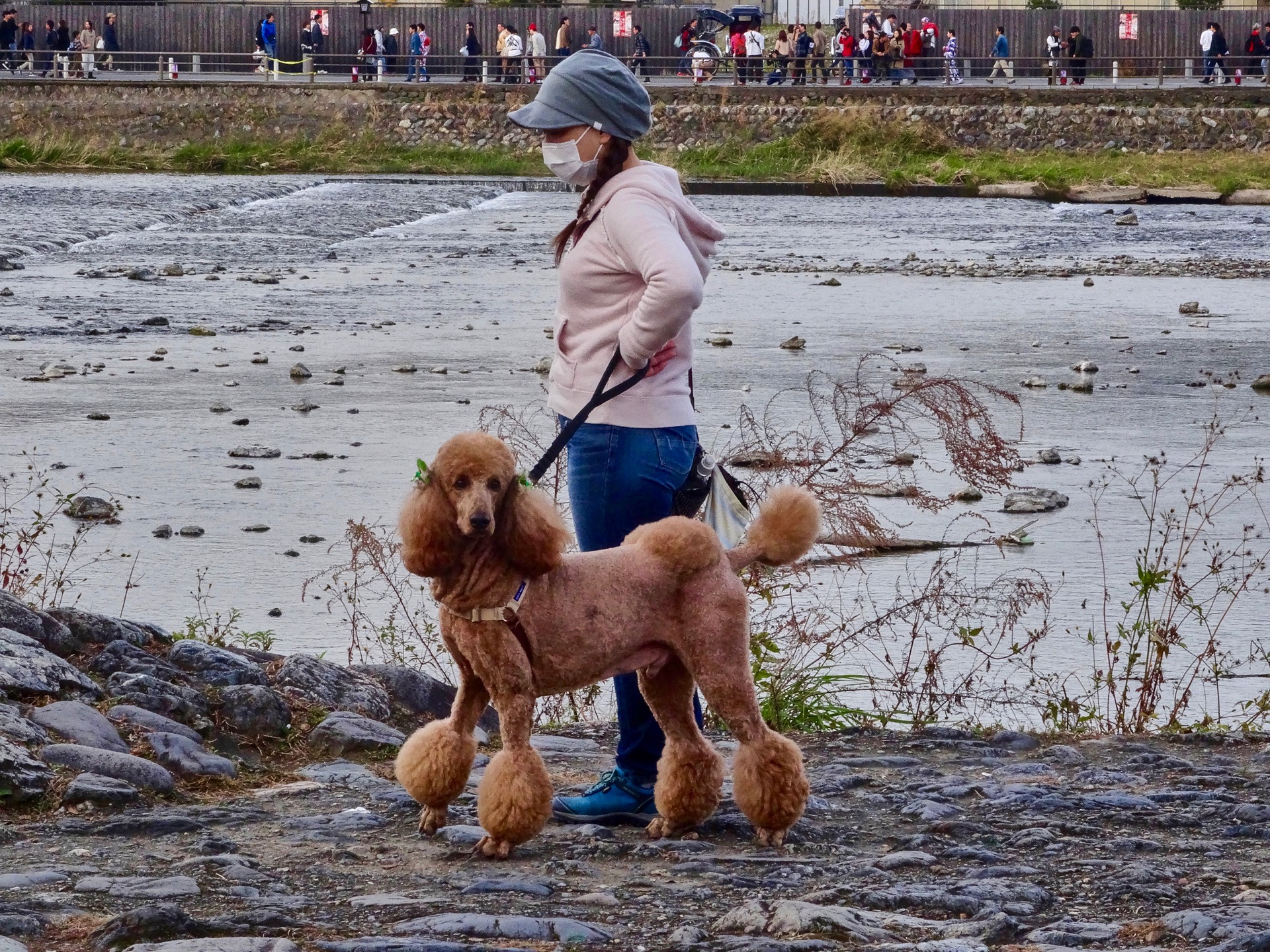 JAPAN-2016-03-100 JAPAN-2016-03-100