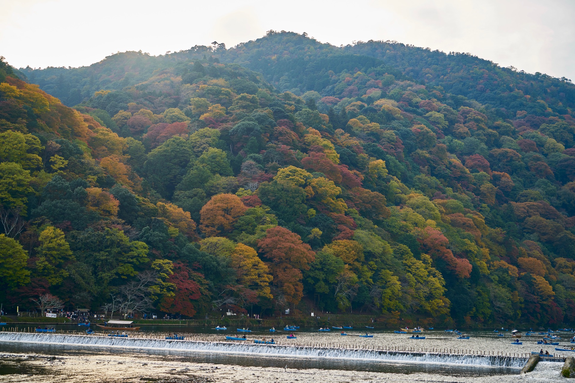 JAPAN-2016-03-102 JAPAN-2016-03-102