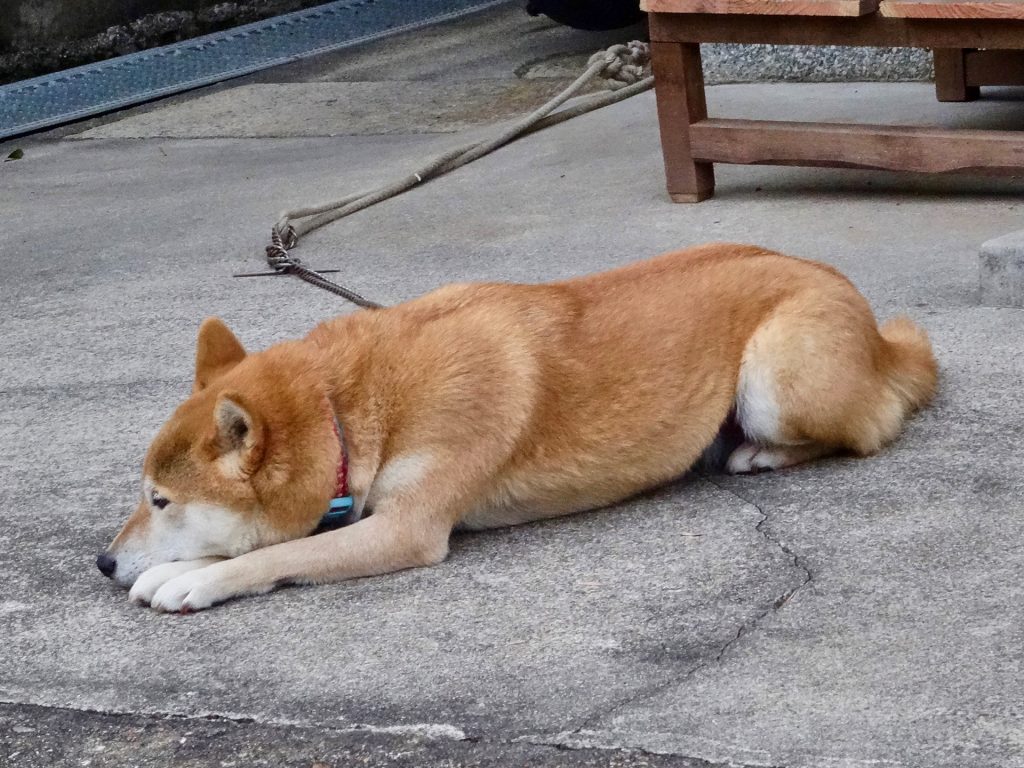 JAPAN-2016-03-103 JAPAN-2016-03-103