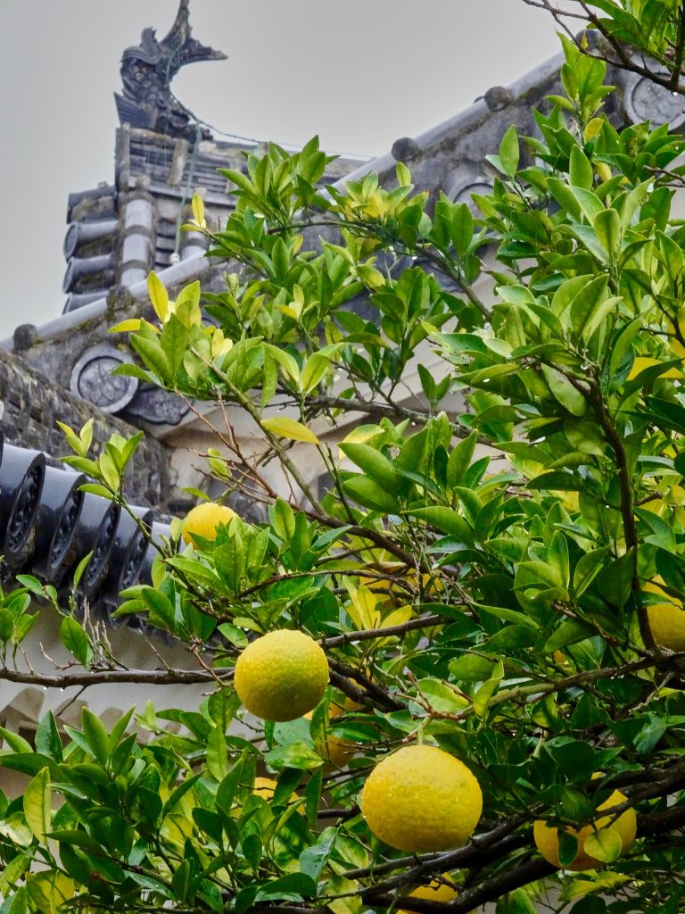 JAPAN-2016-04-031 JAPAN-2016-04-031