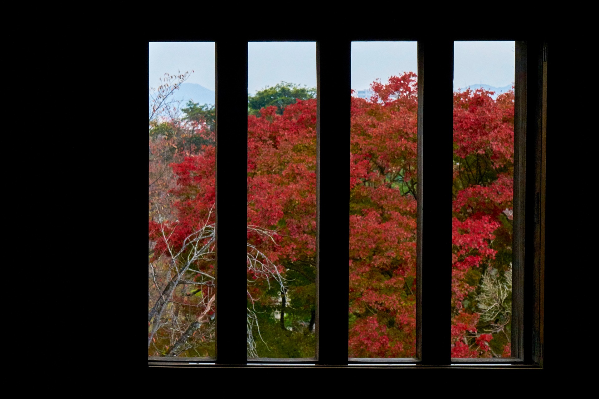 JAPAN-2016-04-040 JAPAN-2016-04-040