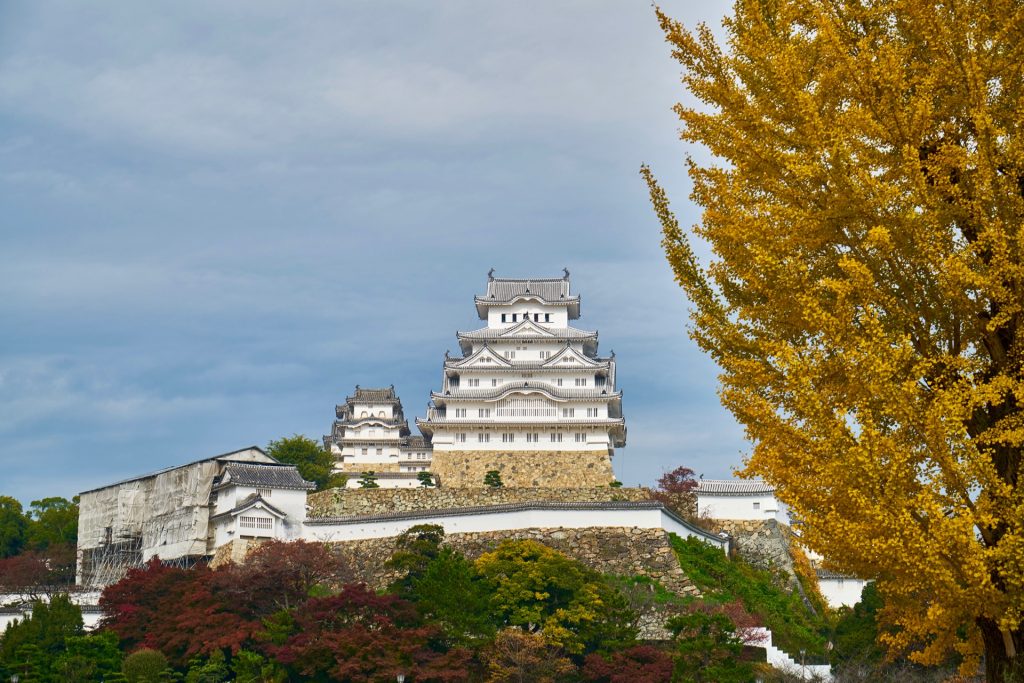 JAPAN-2016-04-049 JAPAN-2016-04-049