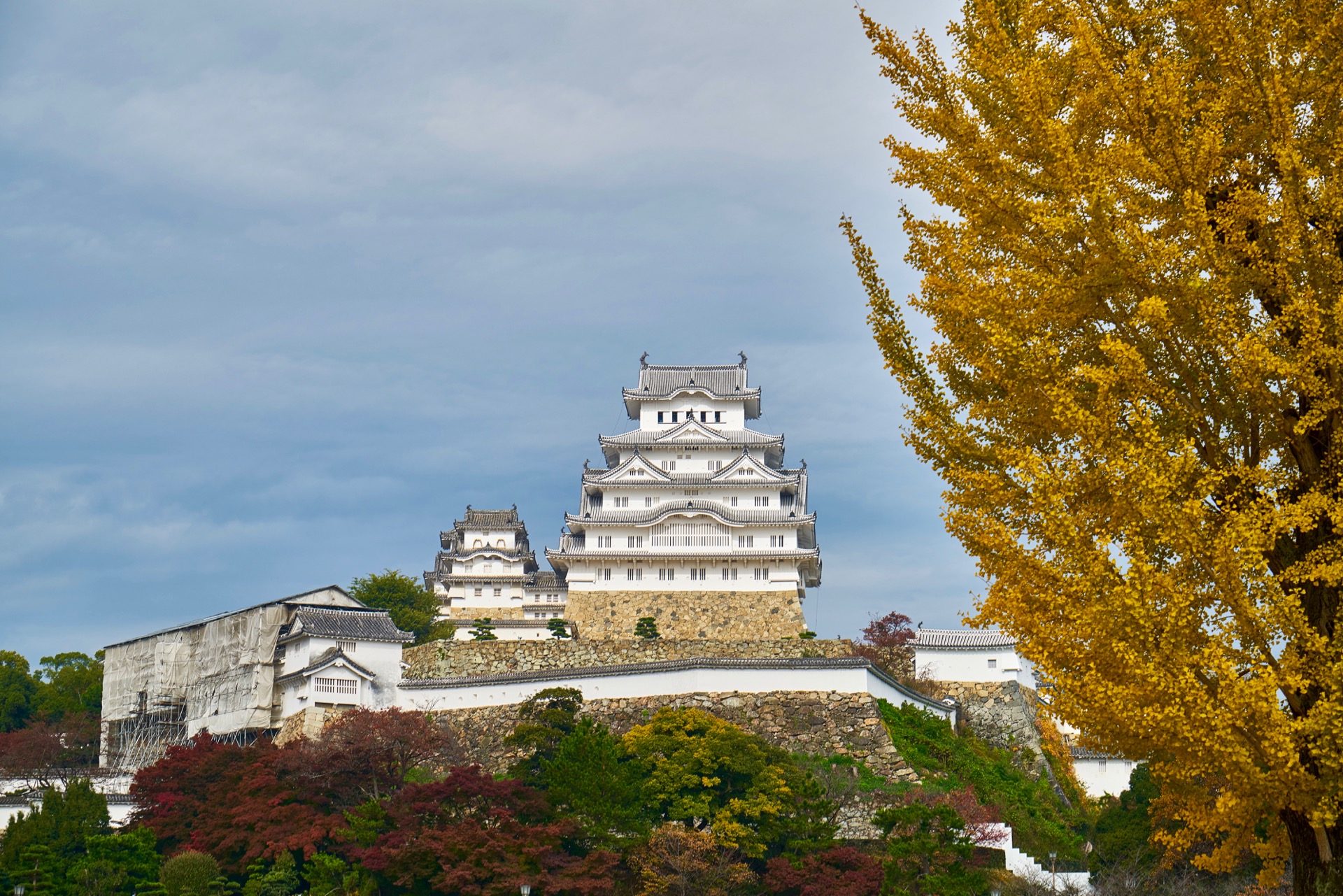 JAPAN-2016-04-049 JAPAN-2016-04-049