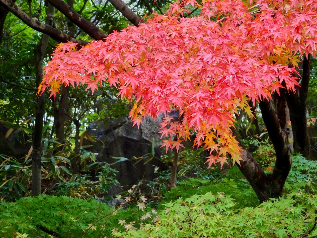 JAPAN-2016-04-052 JAPAN-2016-04-052