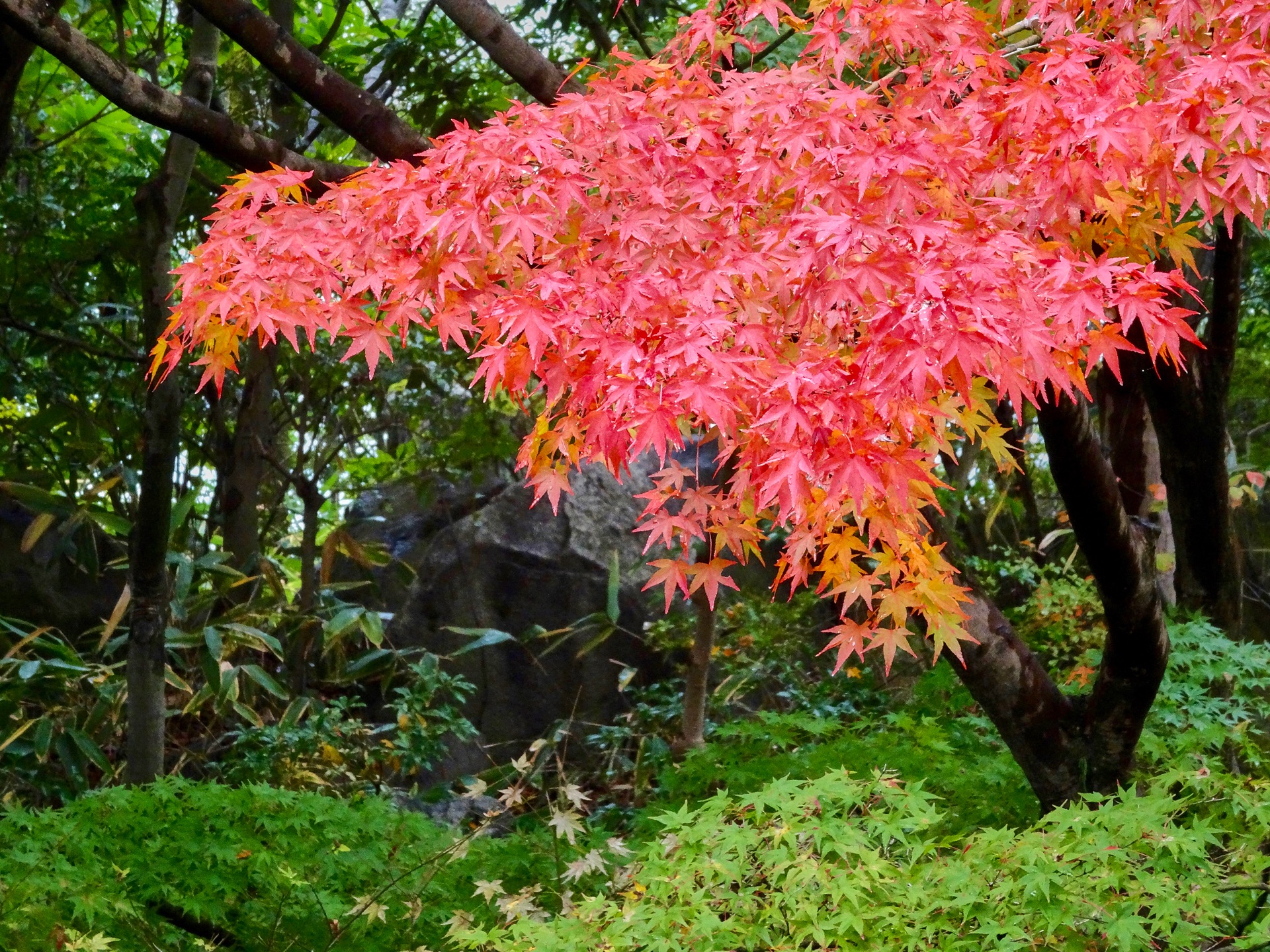 JAPAN-2016-04-052 JAPAN-2016-04-052