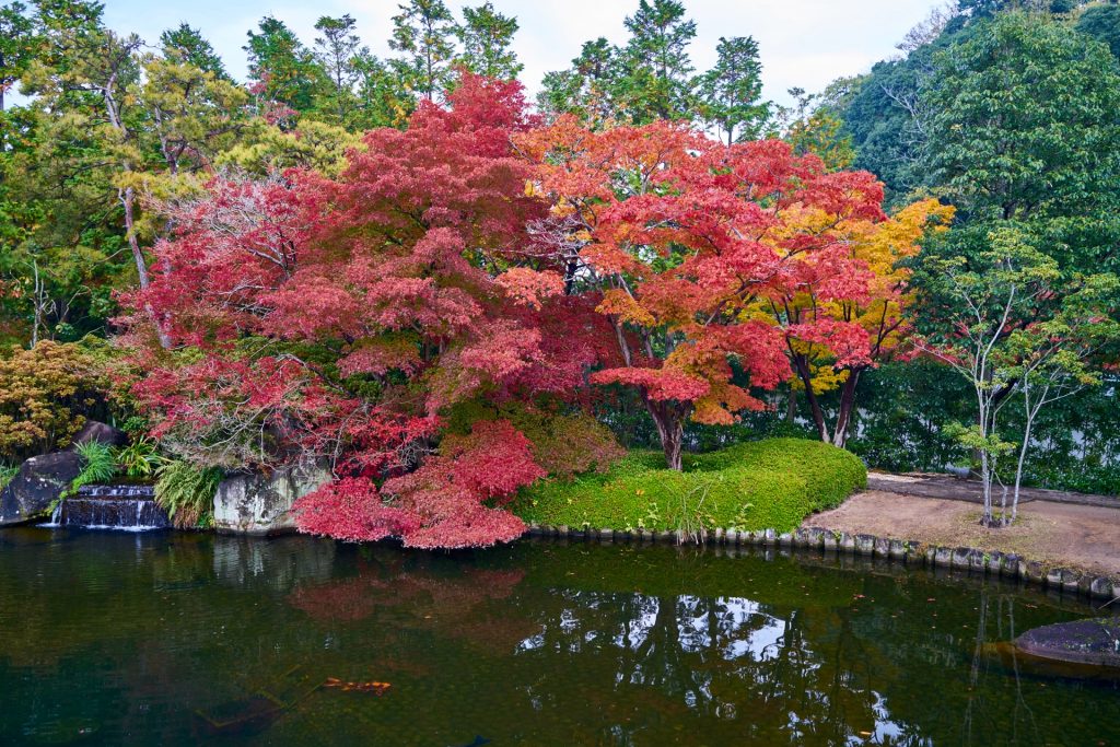 JAPAN-2016-04-059 JAPAN-2016-04-059