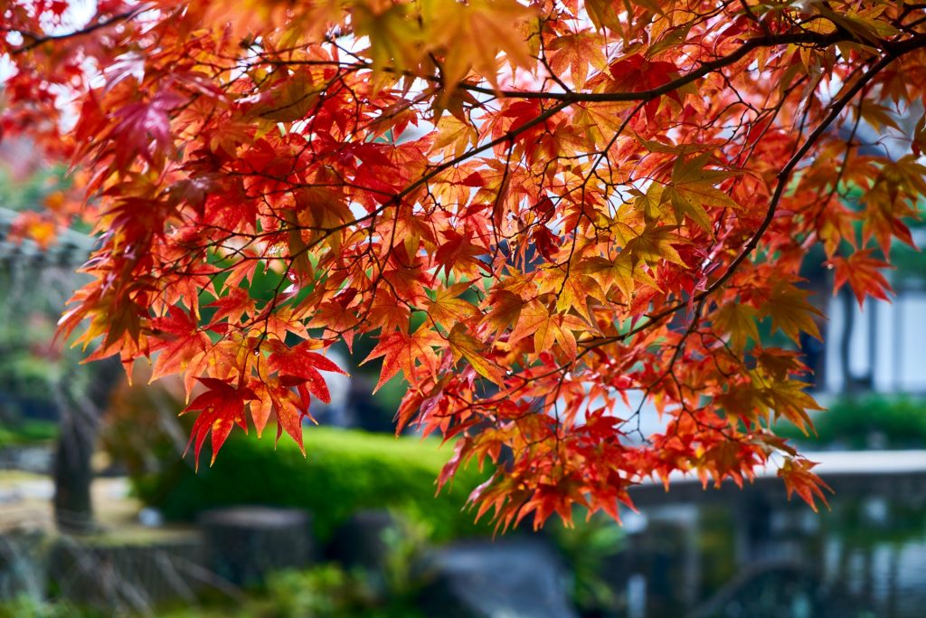 JAPAN-2016-04-061 JAPAN-2016-04-061