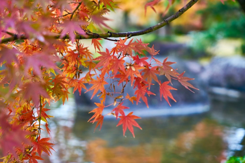 JAPAN-2016-04-069 JAPAN-2016-04-069