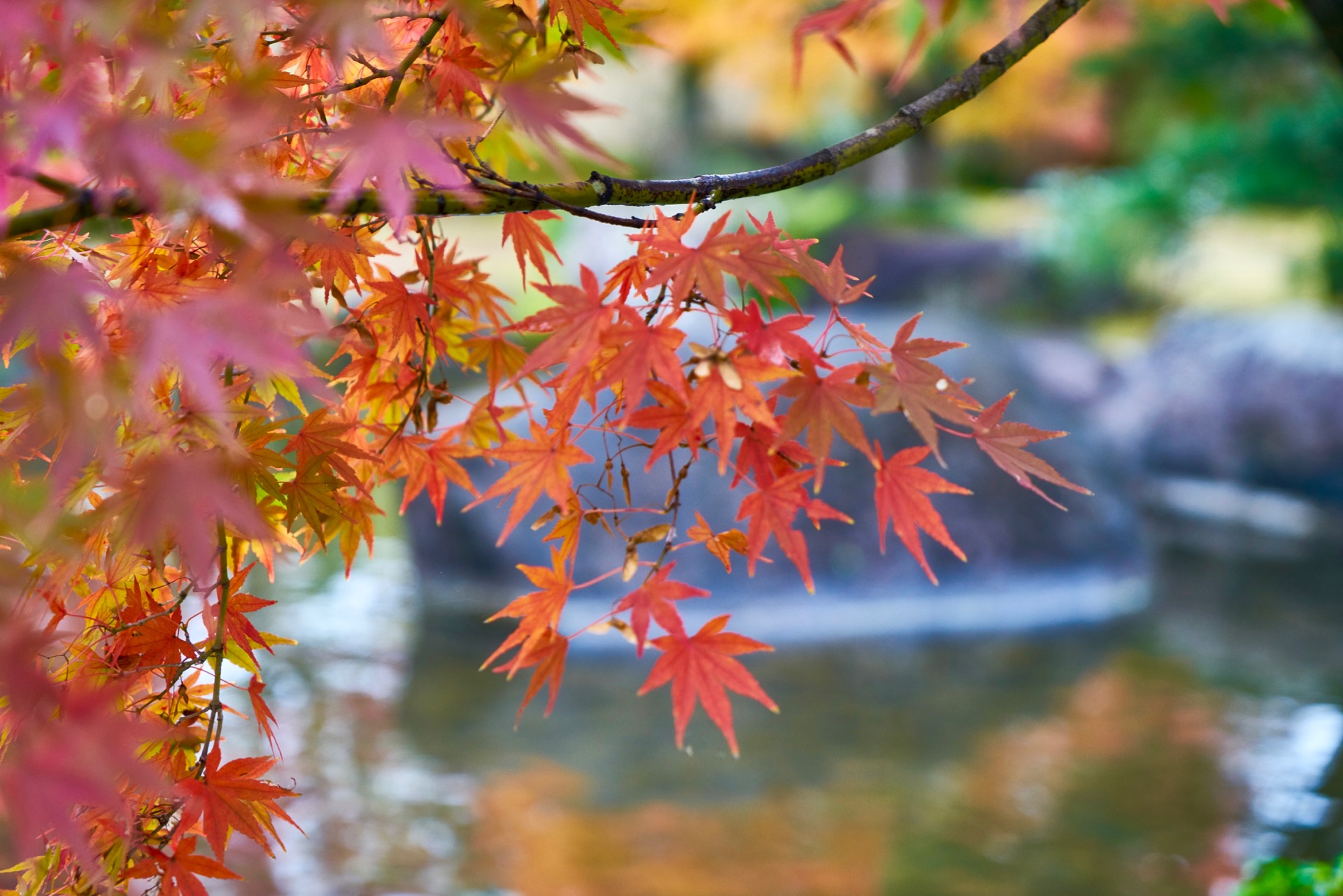 JAPAN-2016-04-069 JAPAN-2016-04-069