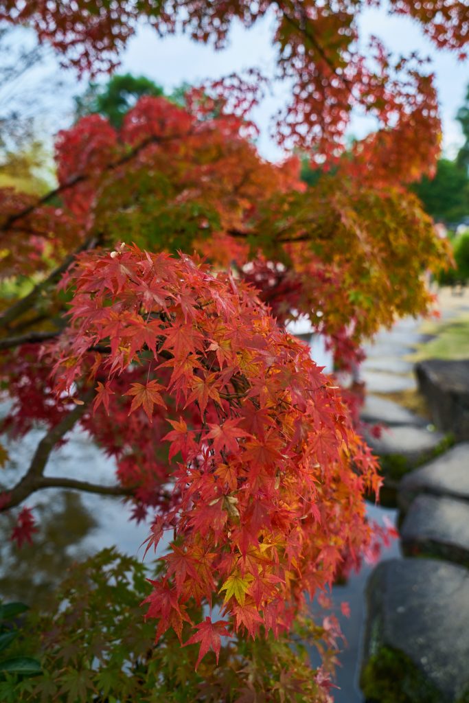 JAPAN-2016-04-072 JAPAN-2016-04-072
