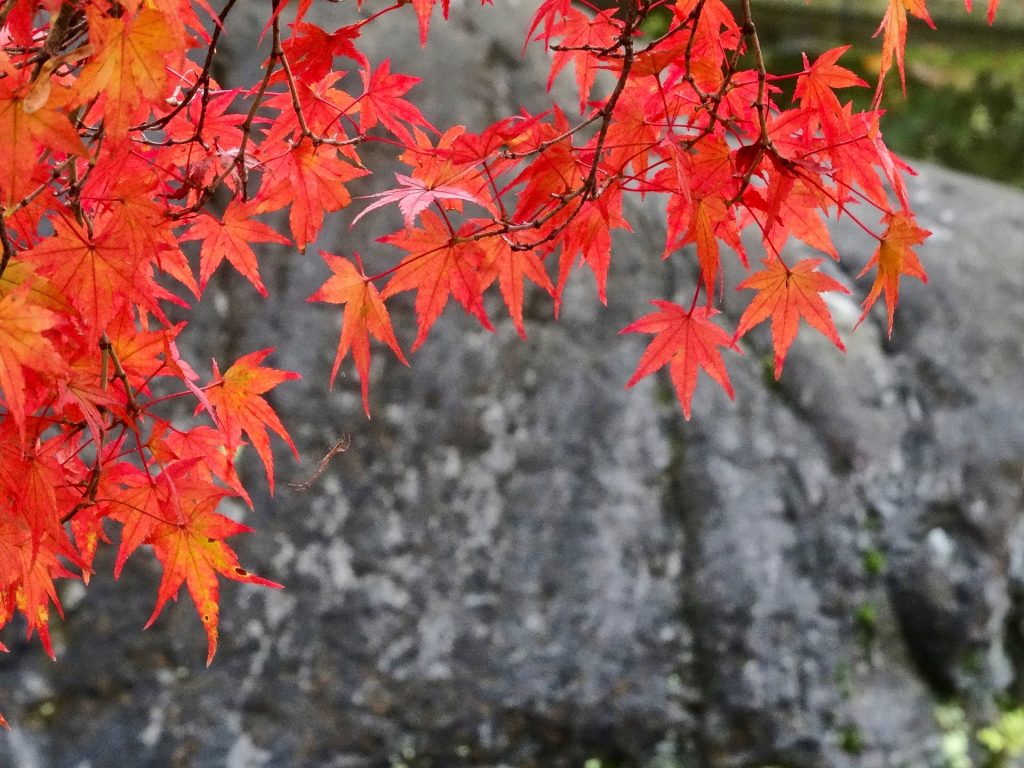 JAPAN-2016-04-075 JAPAN-2016-04-075