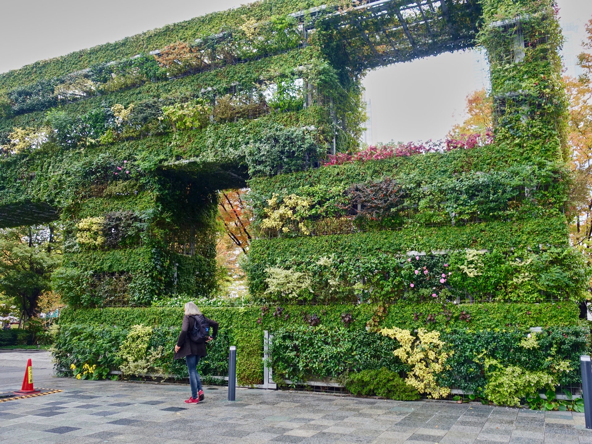 JAPAN-2016-05-037 JAPAN-2016-05-037