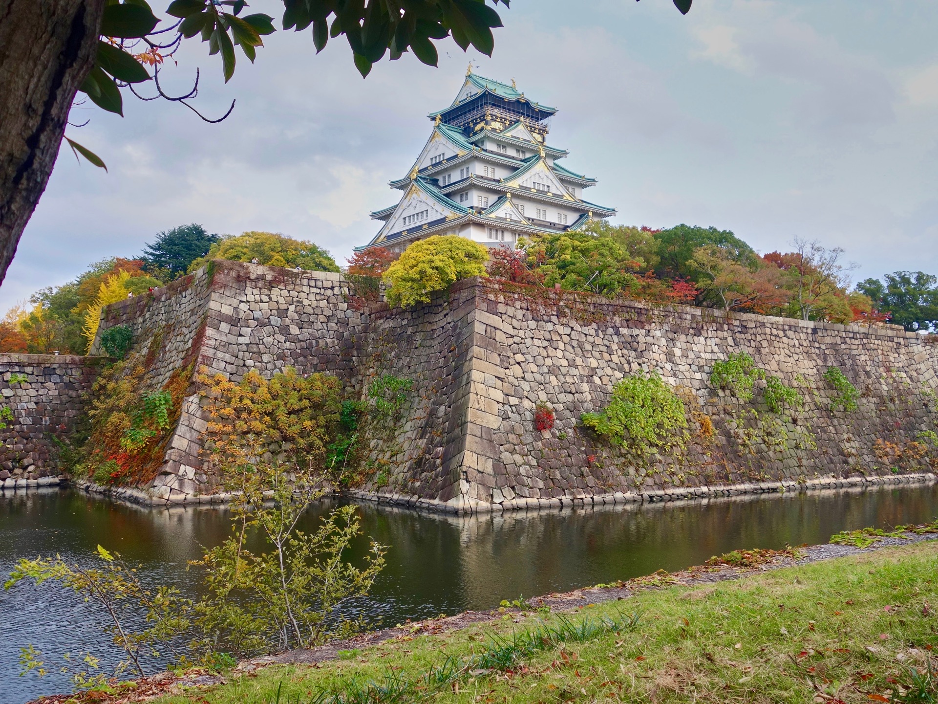 JAPAN-2016-05-063 JAPAN-2016-05-063