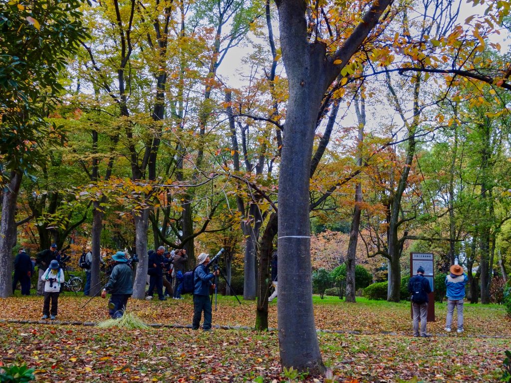 JAPAN-2016-05-065 JAPAN-2016-05-065