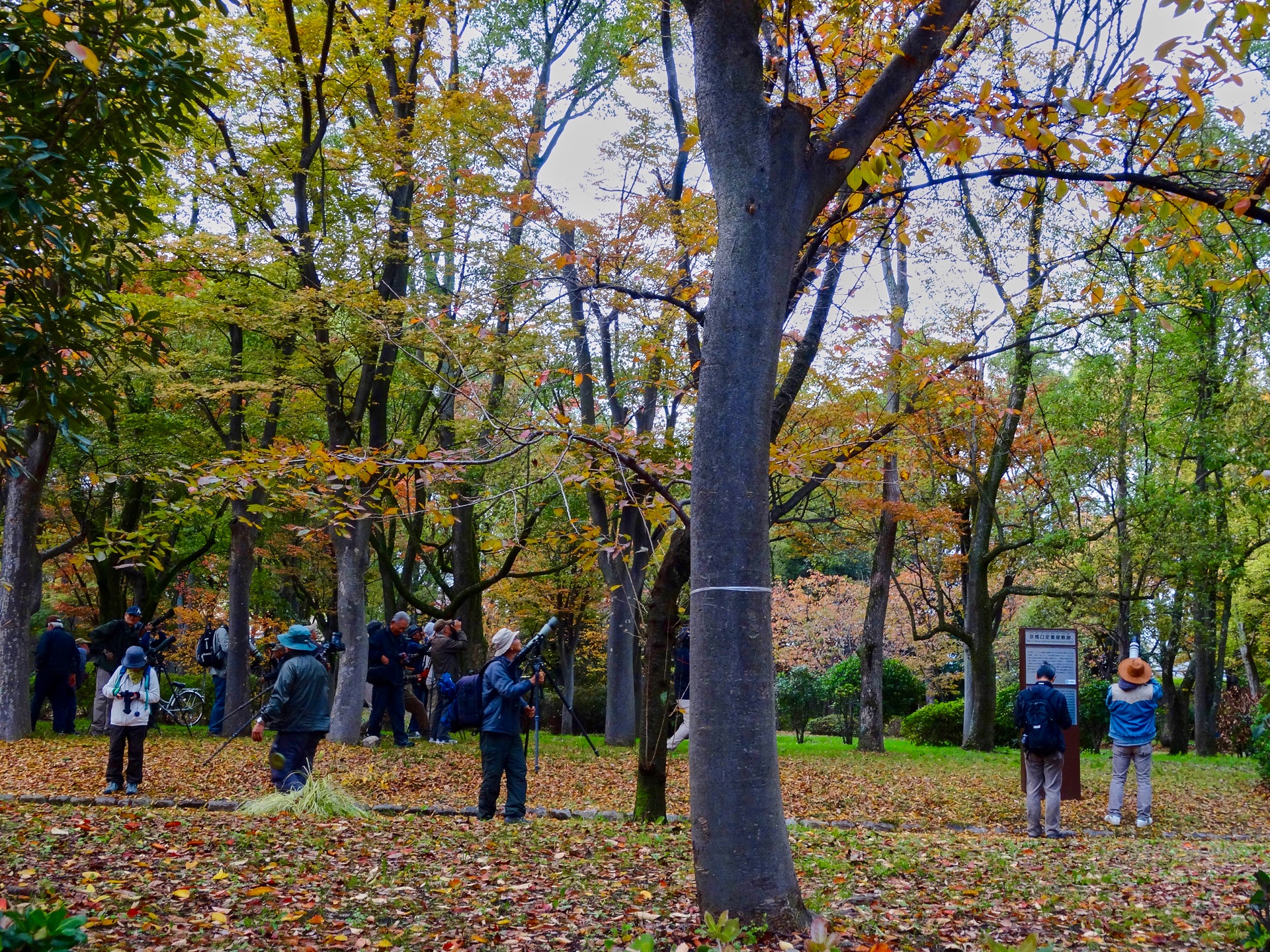 JAPAN-2016-05-065 JAPAN-2016-05-065