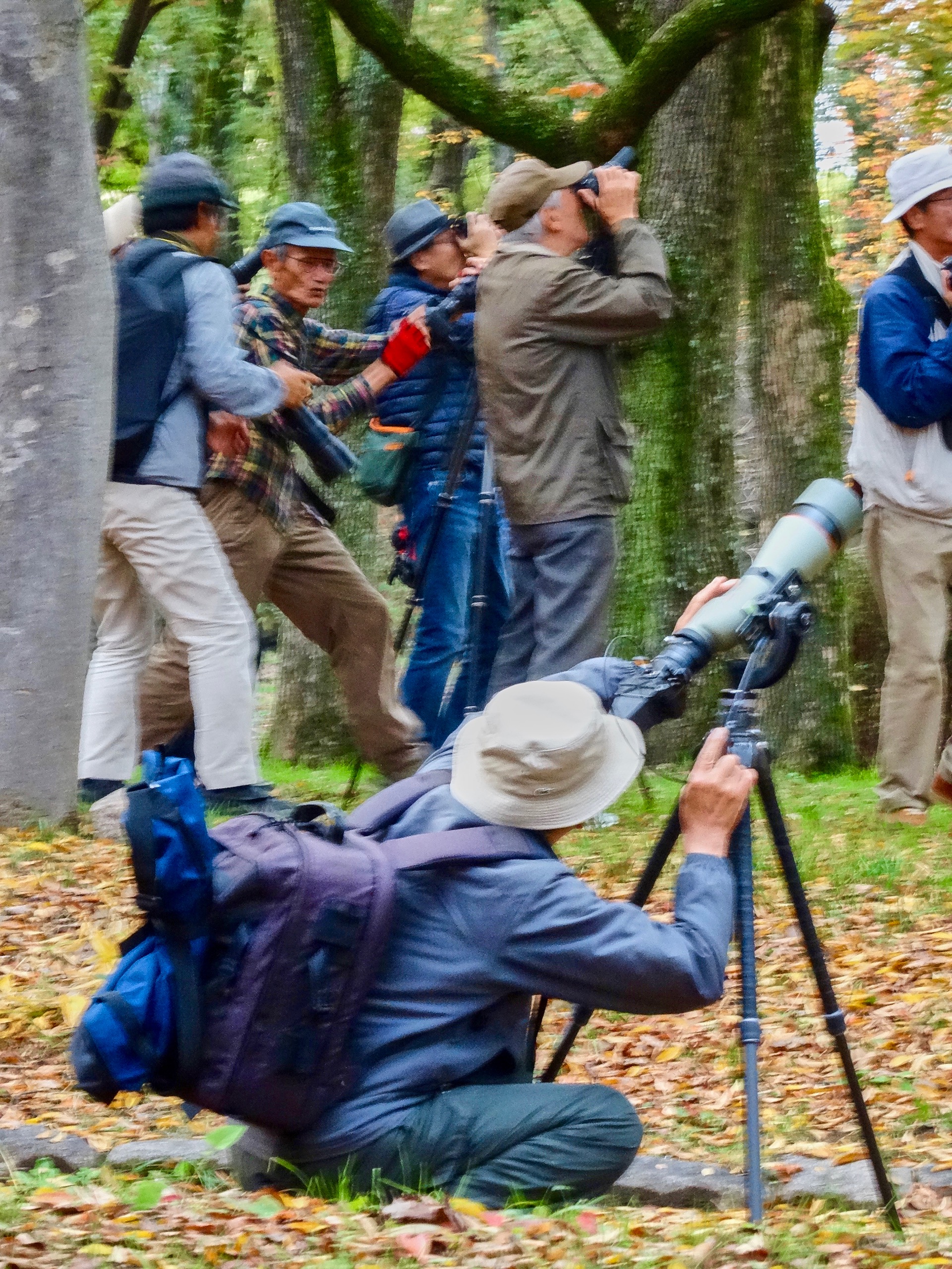 JAPAN-2016-05-066 JAPAN-2016-05-066