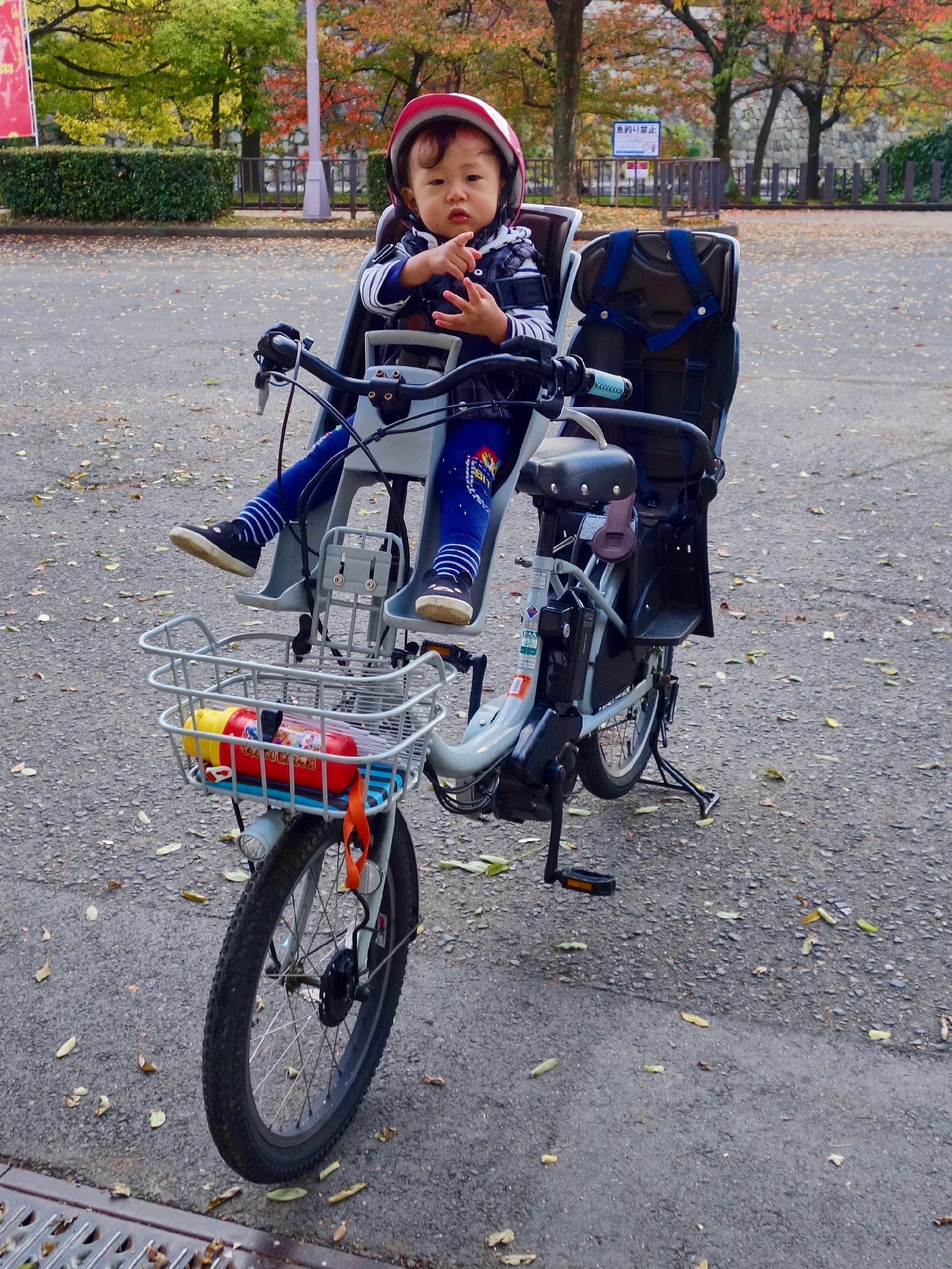 JAPAN-2016-05-069 JAPAN-2016-05-069