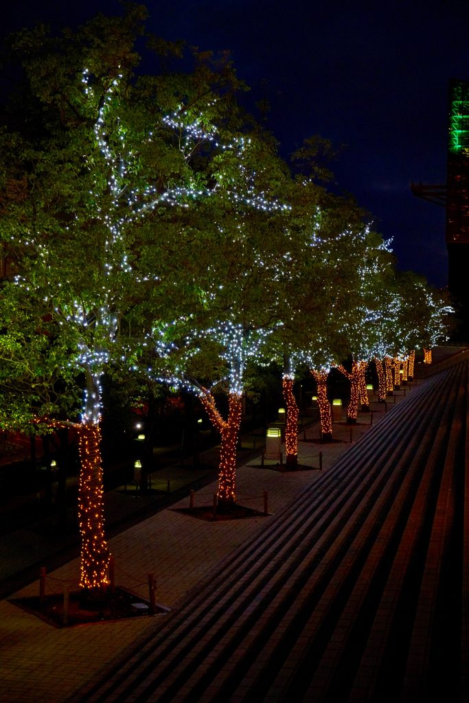 JAPAN-2016-05-078 JAPAN-2016-05-078