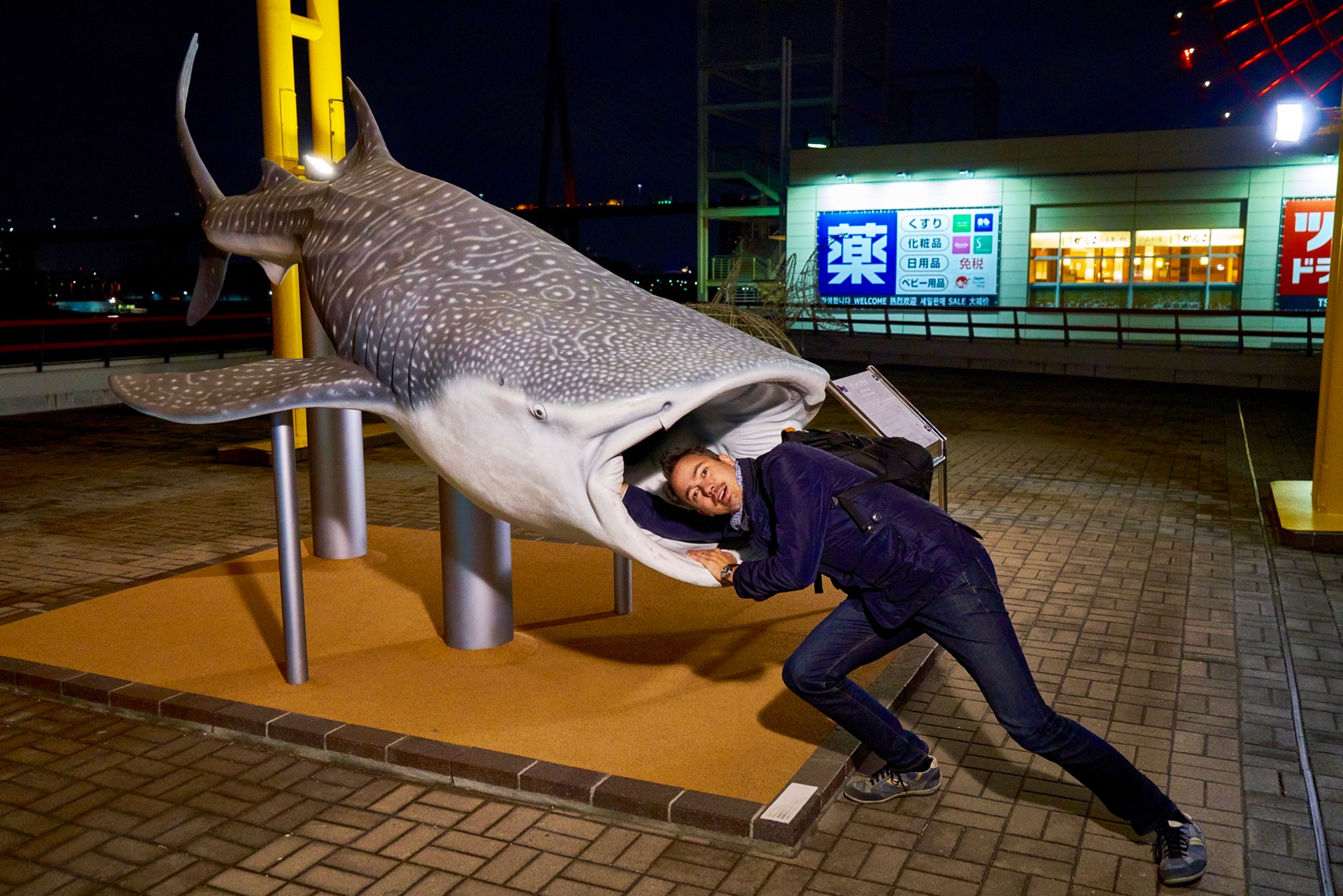 JAPAN-2016-05-082 JAPAN-2016-05-082