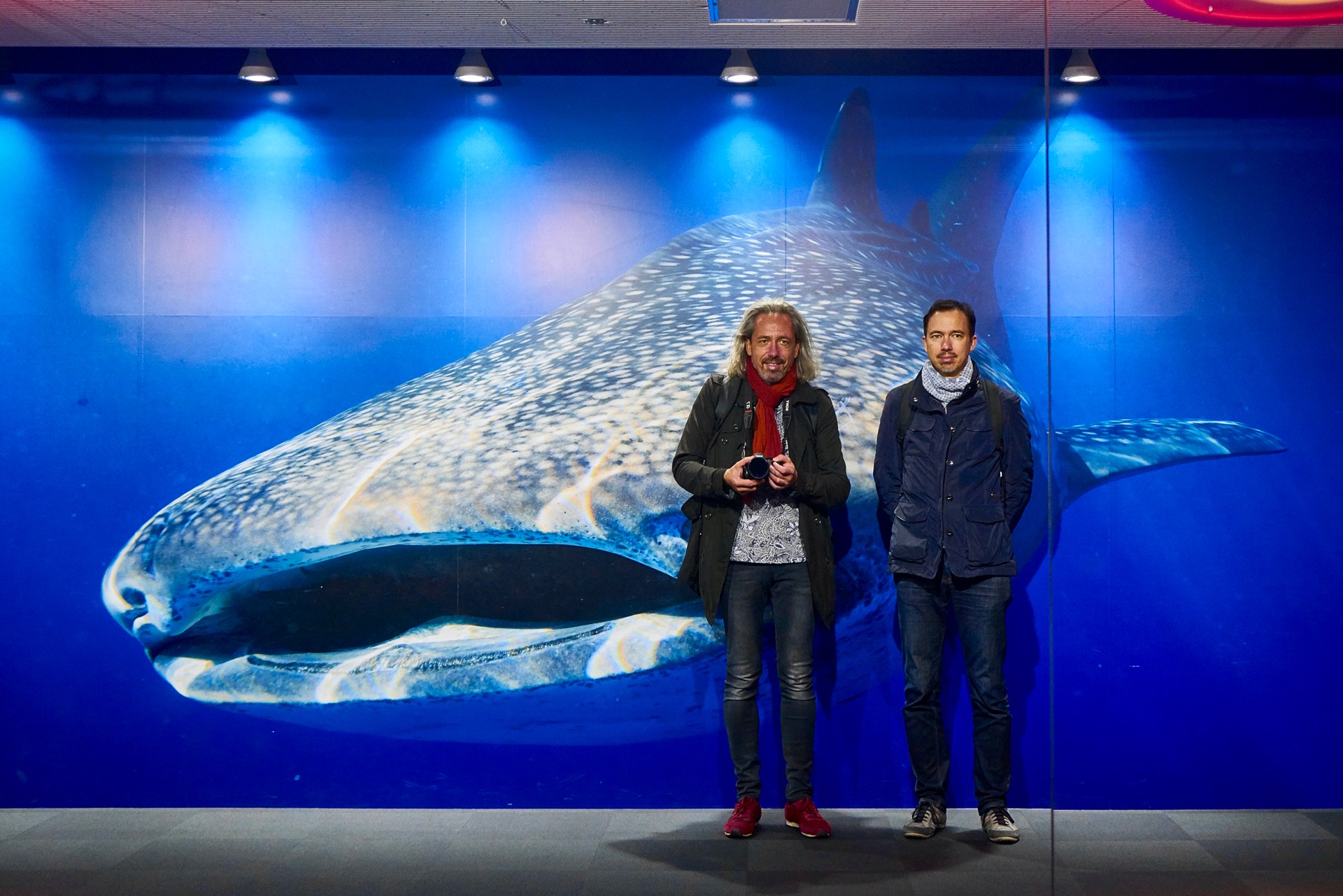 JAPAN-2016-05-083 JAPAN-2016-05-083