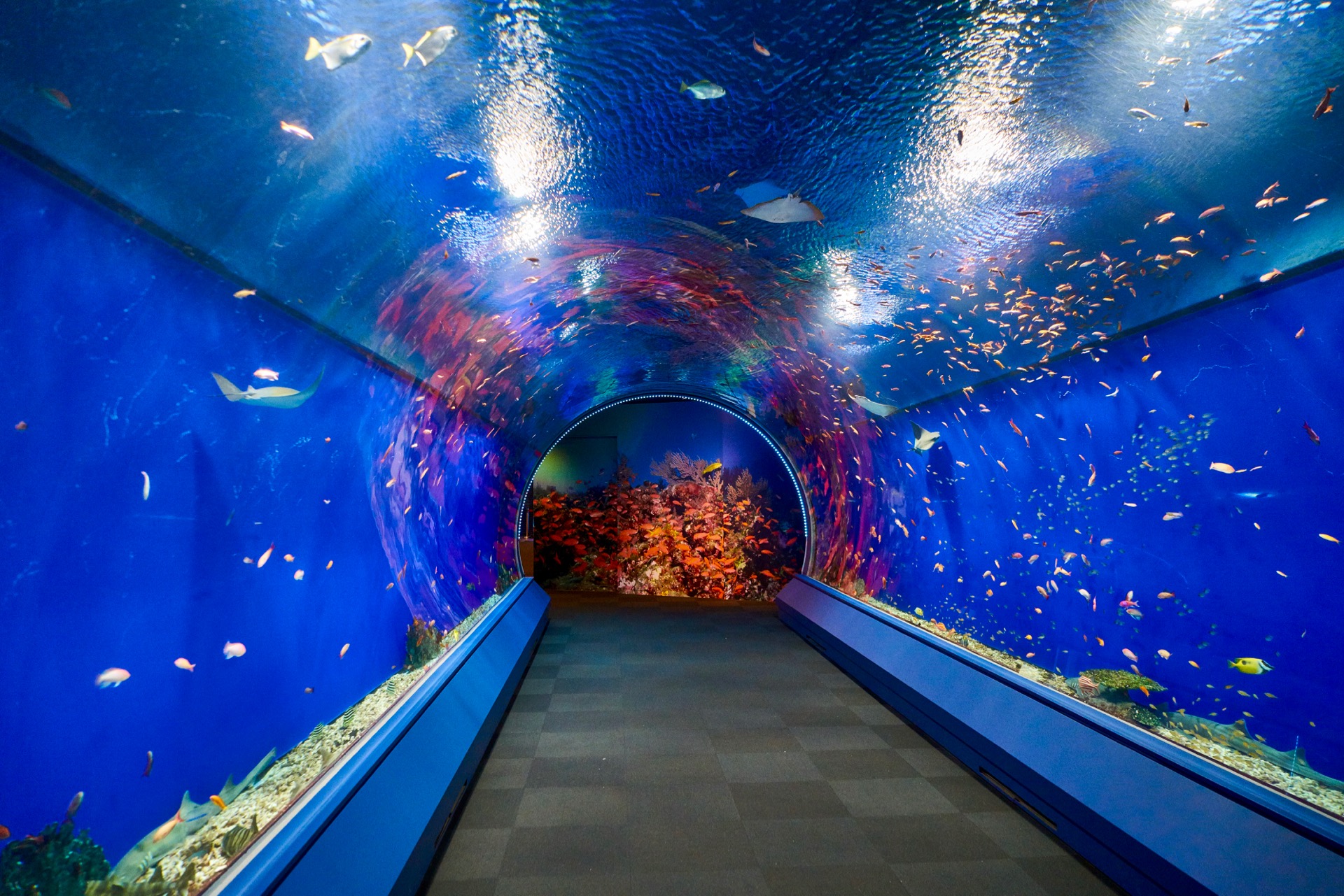 JAPAN-2016-05-084 JAPAN-2016-05-084