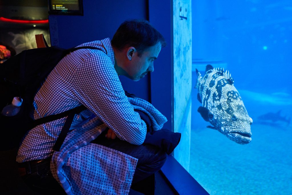 JAPAN-2016-05-087 JAPAN-2016-05-087