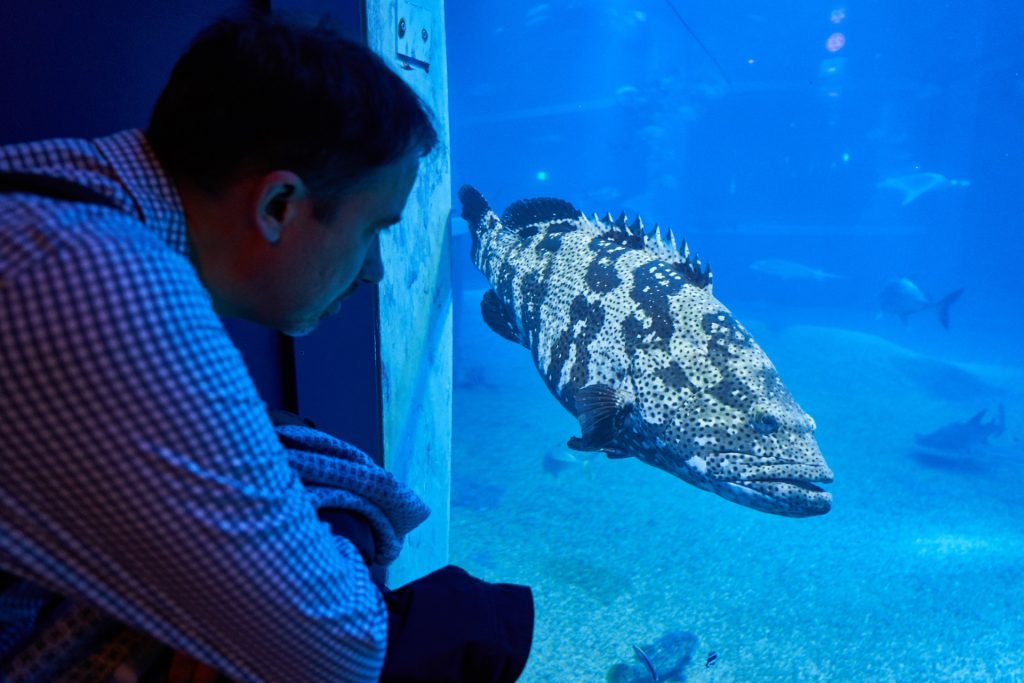 JAPAN-2016-05-088 JAPAN-2016-05-088