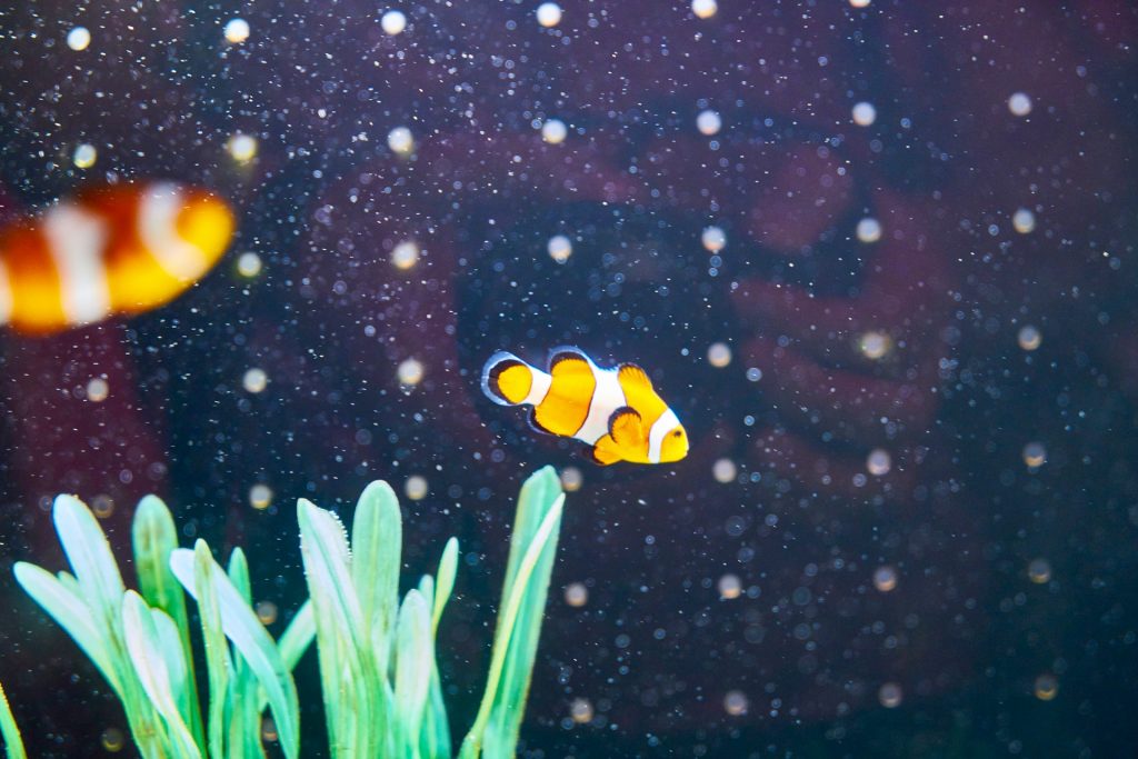 JAPAN-2016-05-090 JAPAN-2016-05-090