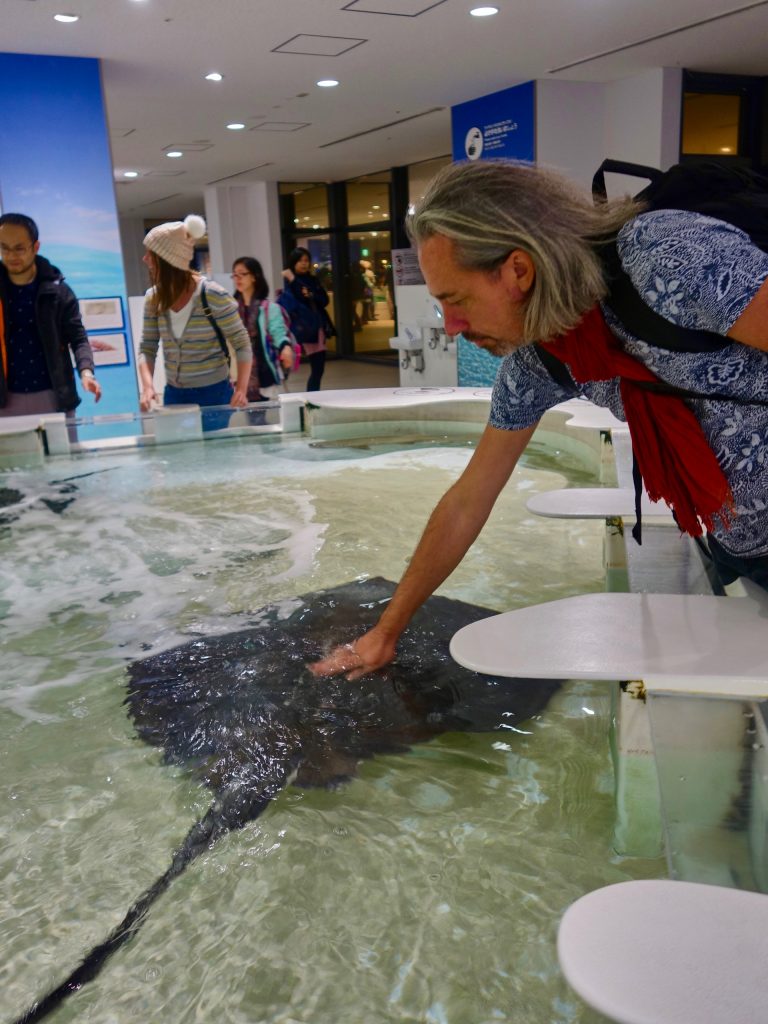 JAPAN-2016-05-098 JAPAN-2016-05-098