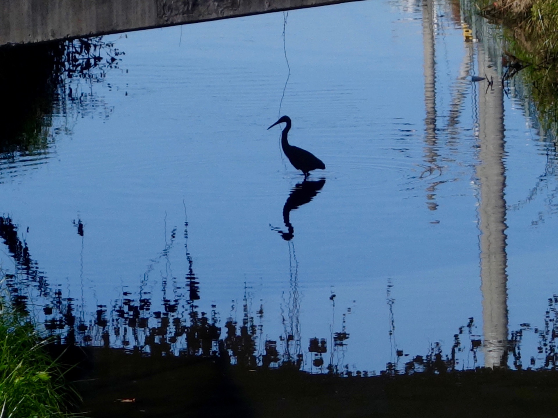 JAPAN-2016-06-18 JAPAN-2016-06-18