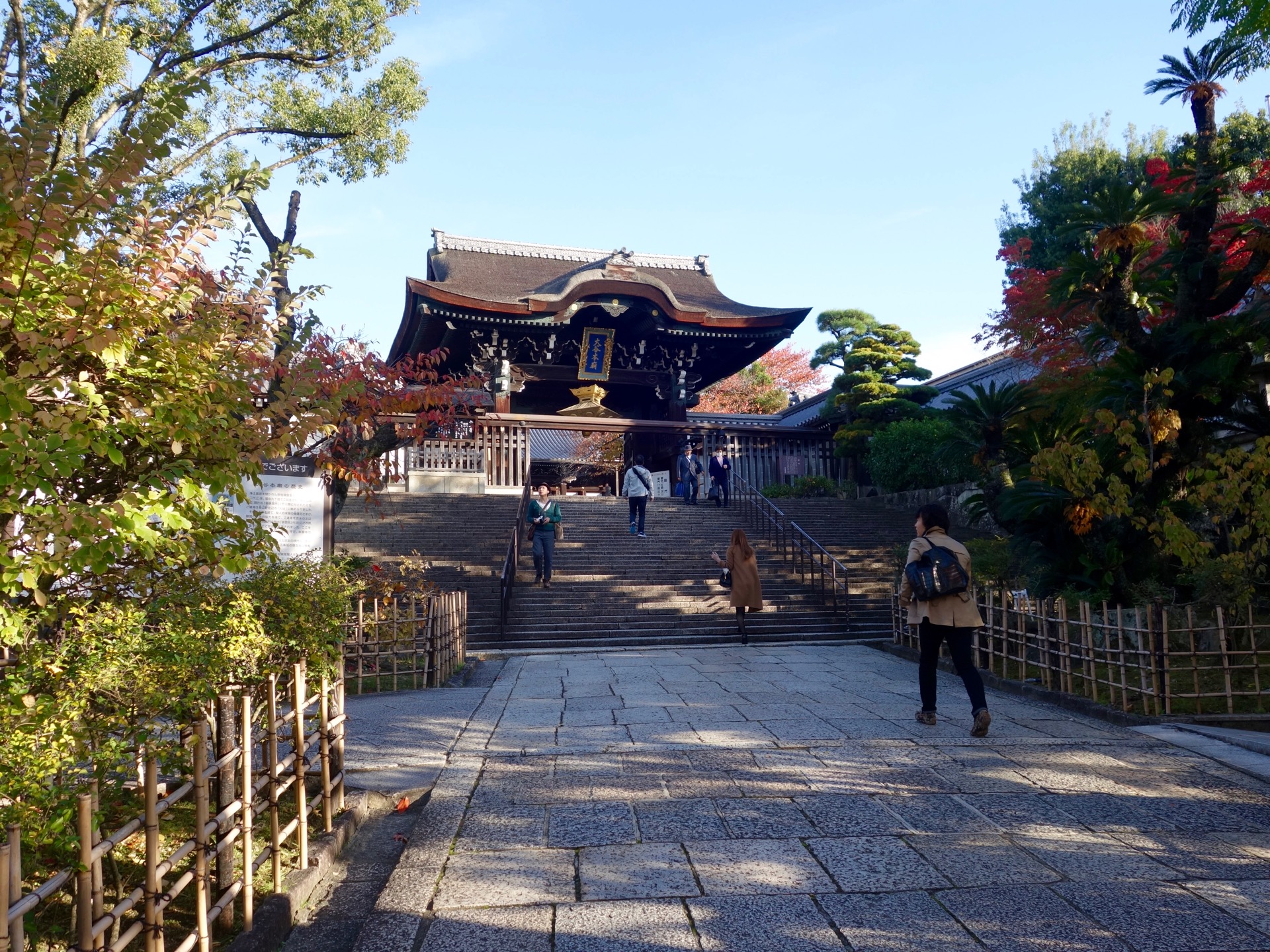 JAPAN-2016-06-48 JAPAN-2016-06-48