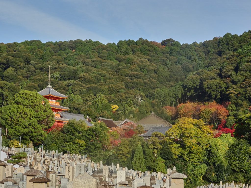 JAPAN-2016-06-50 JAPAN-2016-06-50