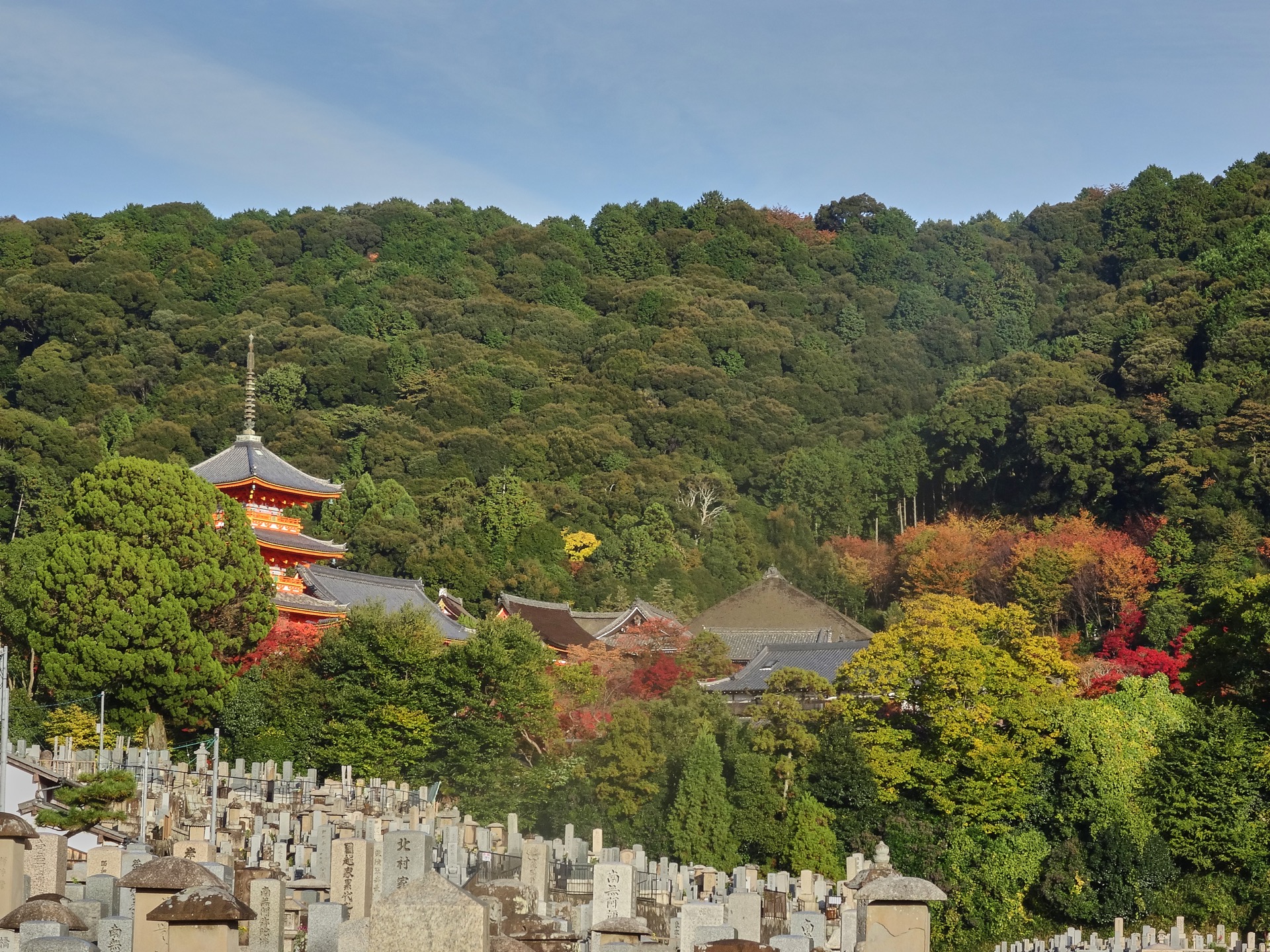 JAPAN-2016-06-50 JAPAN-2016-06-50