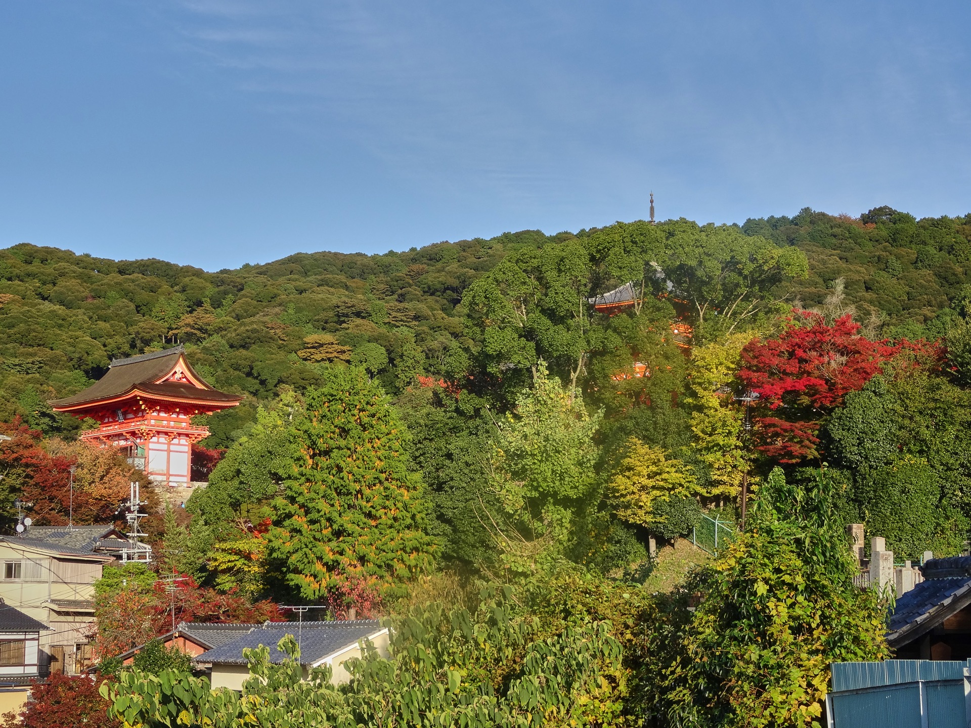 JAPAN-2016-06-57 JAPAN-2016-06-57