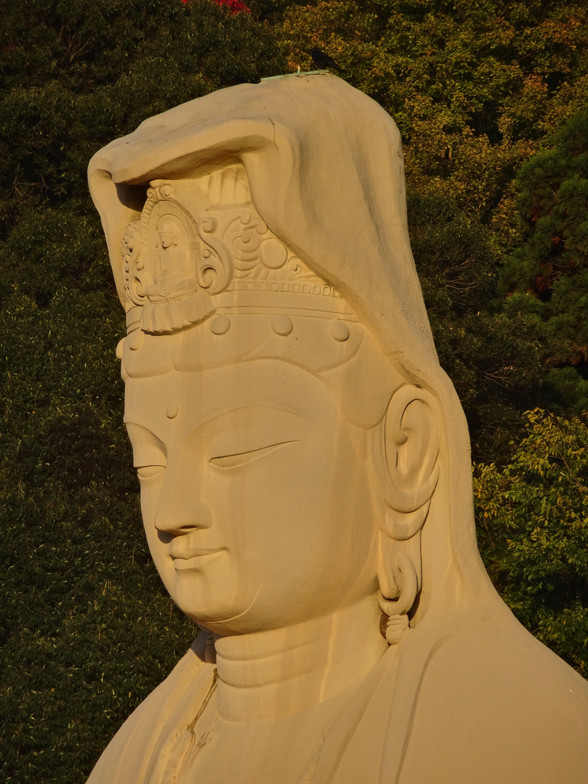 JAPAN-2016-06-59 JAPAN-2016-06-59