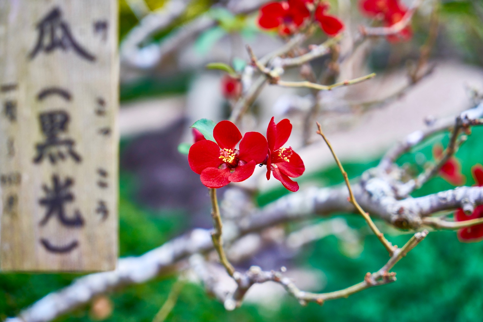 JAPAN-2016-07-029 JAPAN-2016-07-029