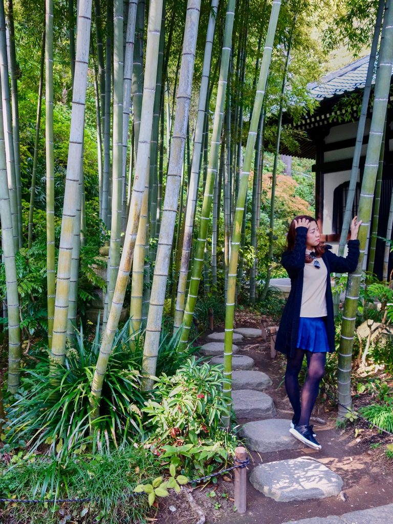 JAPAN-2016-07-034 JAPAN-2016-07-034