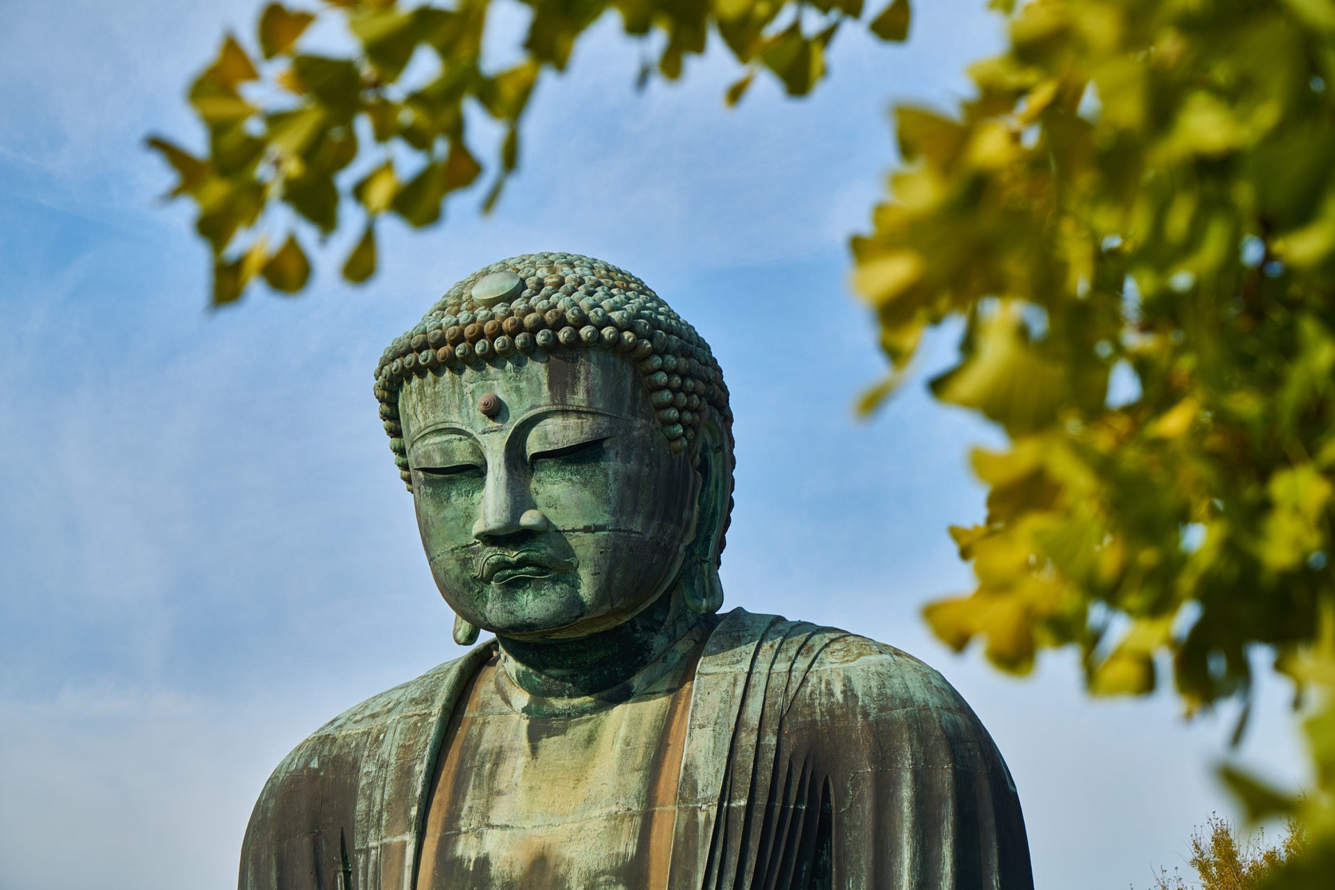 JAPAN-2016-07-075 JAPAN-2016-07-075