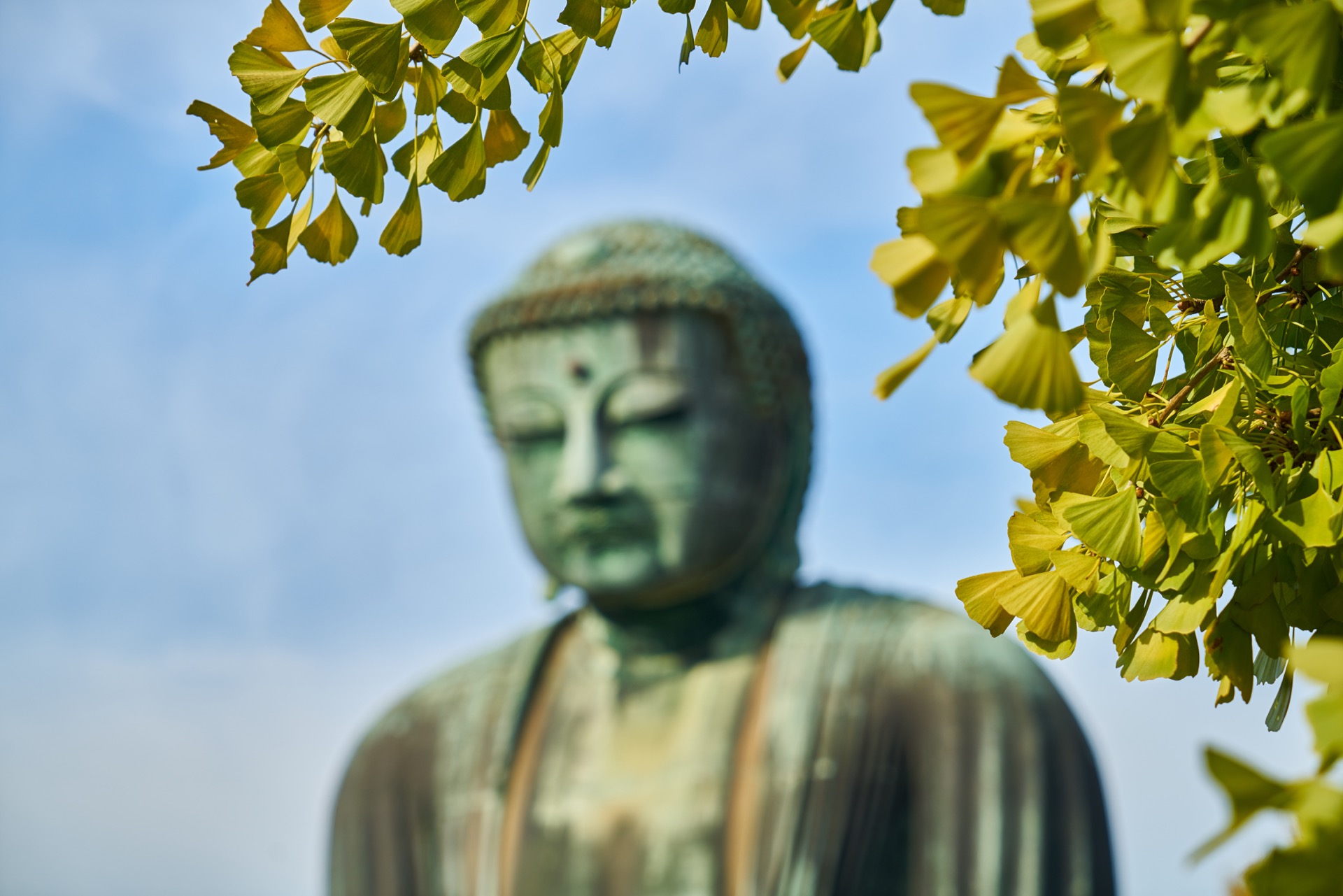 JAPAN-2016-07-076 JAPAN-2016-07-076