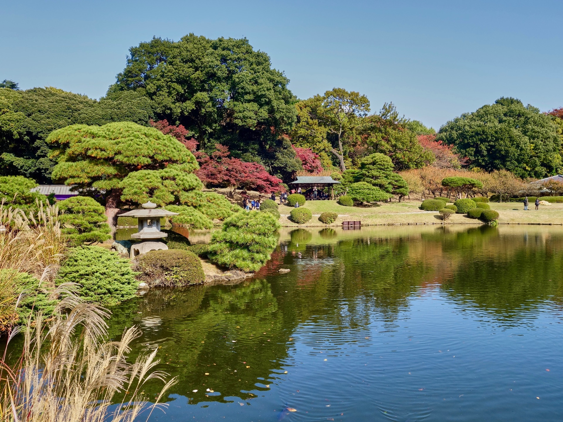 JAPAN-2016-08-020 JAPAN-2016-08-020