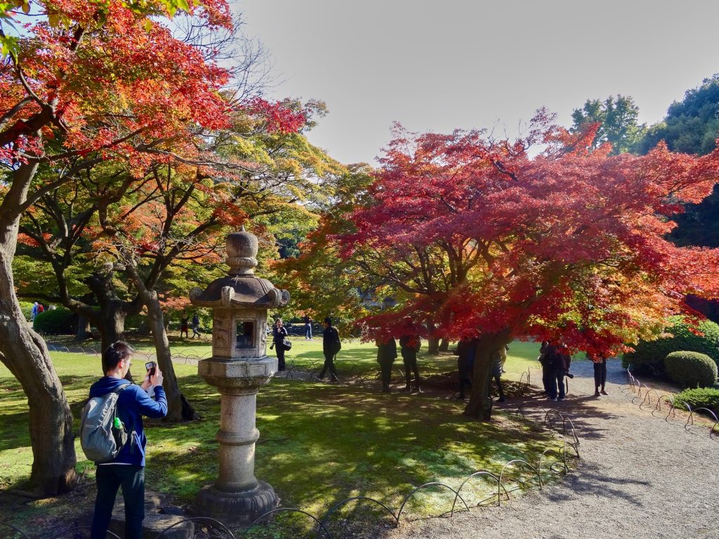 JAPAN-2016-08-024 JAPAN-2016-08-024