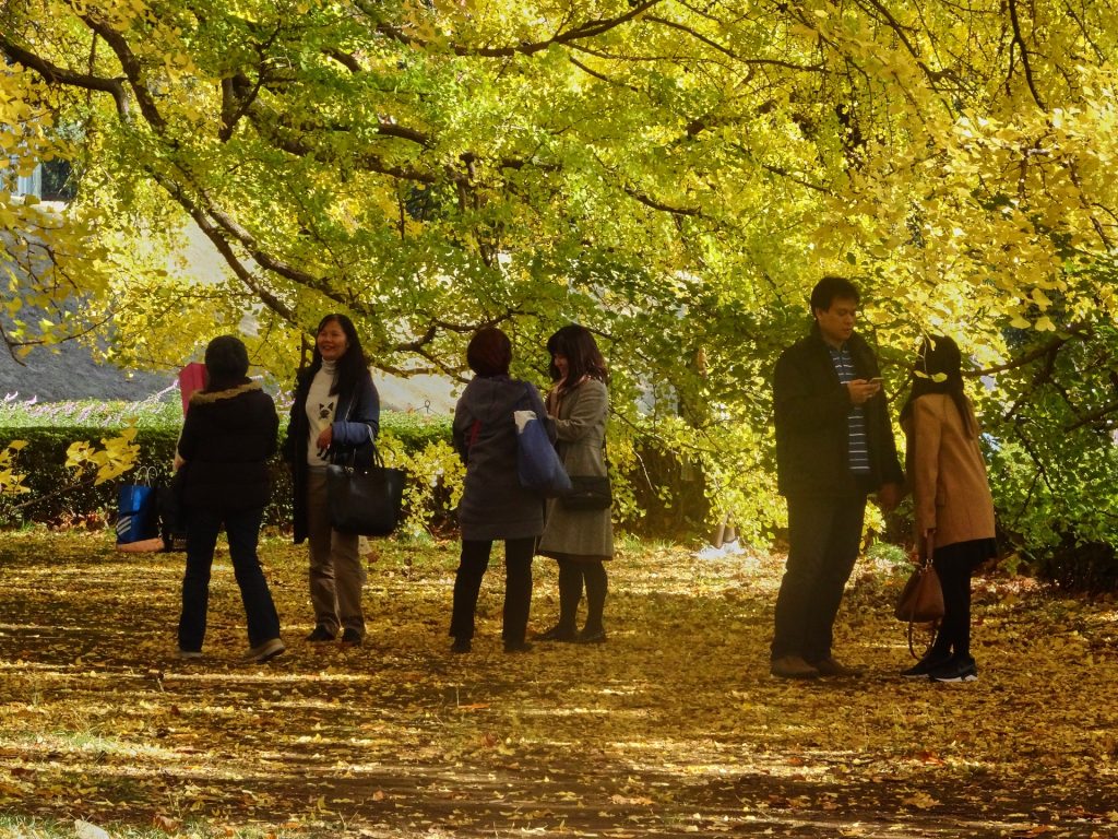 JAPAN-2016-08-031 JAPAN-2016-08-031