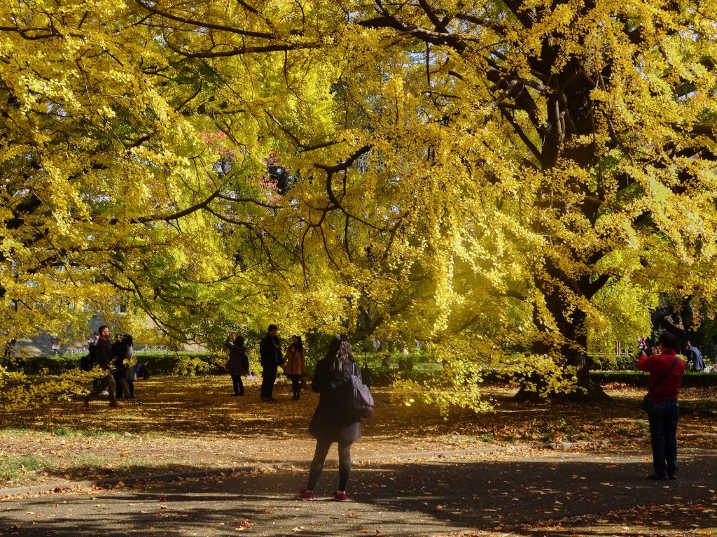 JAPAN-2016-08-032 JAPAN-2016-08-032