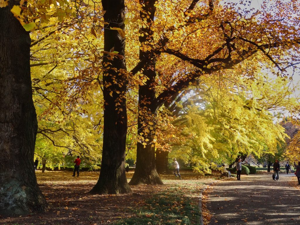 JAPAN-2016-08-033 JAPAN-2016-08-033