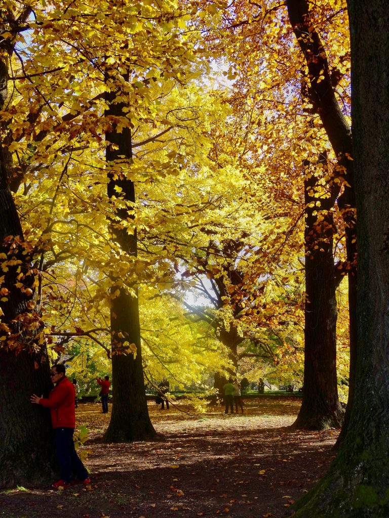 JAPAN-2016-08-035 JAPAN-2016-08-035