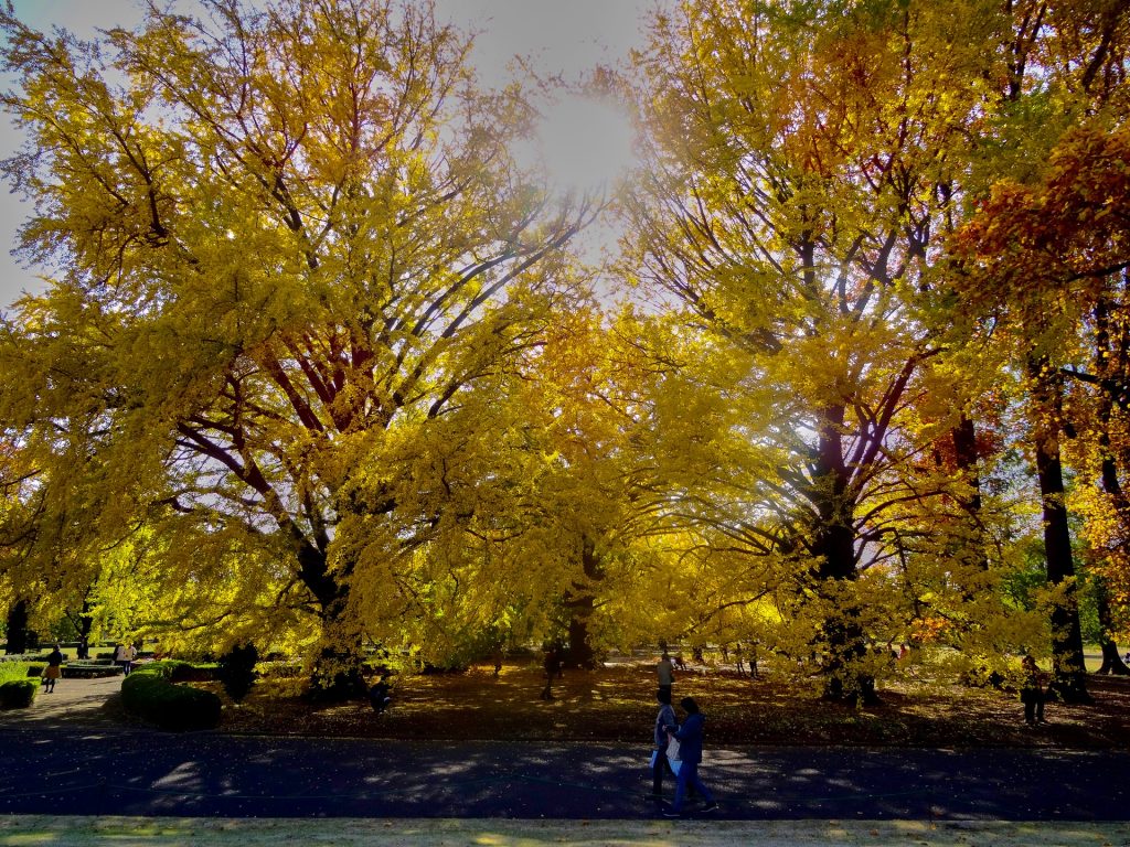 JAPAN-2016-08-037 JAPAN-2016-08-037